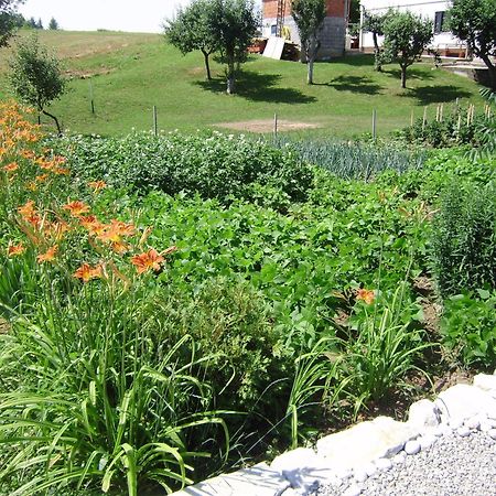 House Osana Hotel Grabovac  Exterior foto