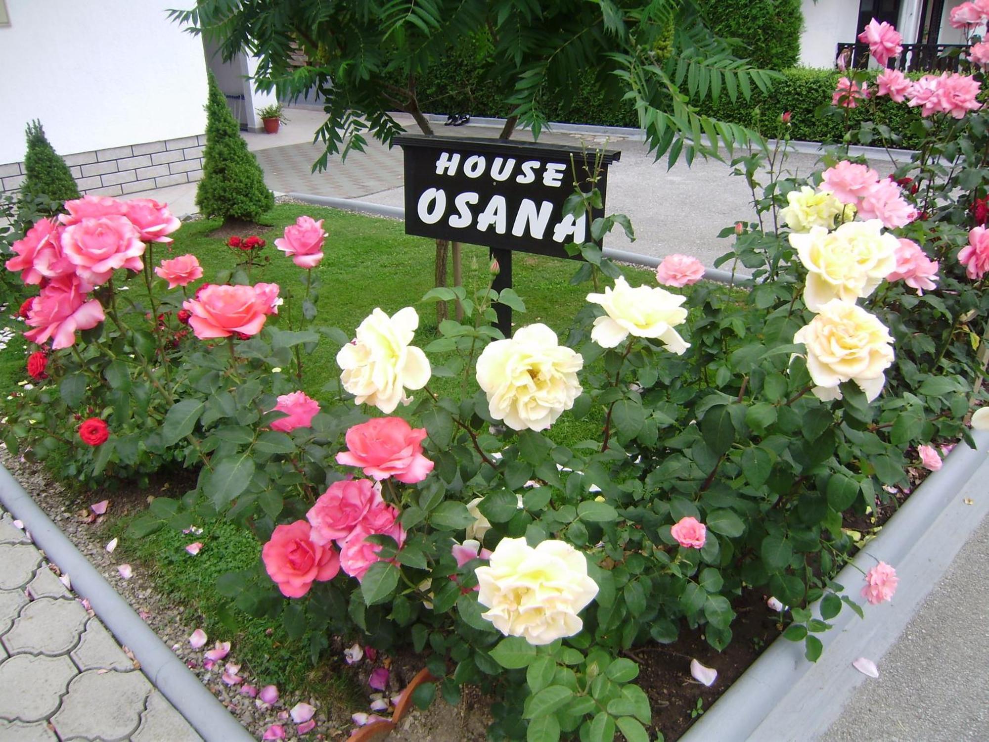 House Osana Hotel Grabovac  Exterior foto